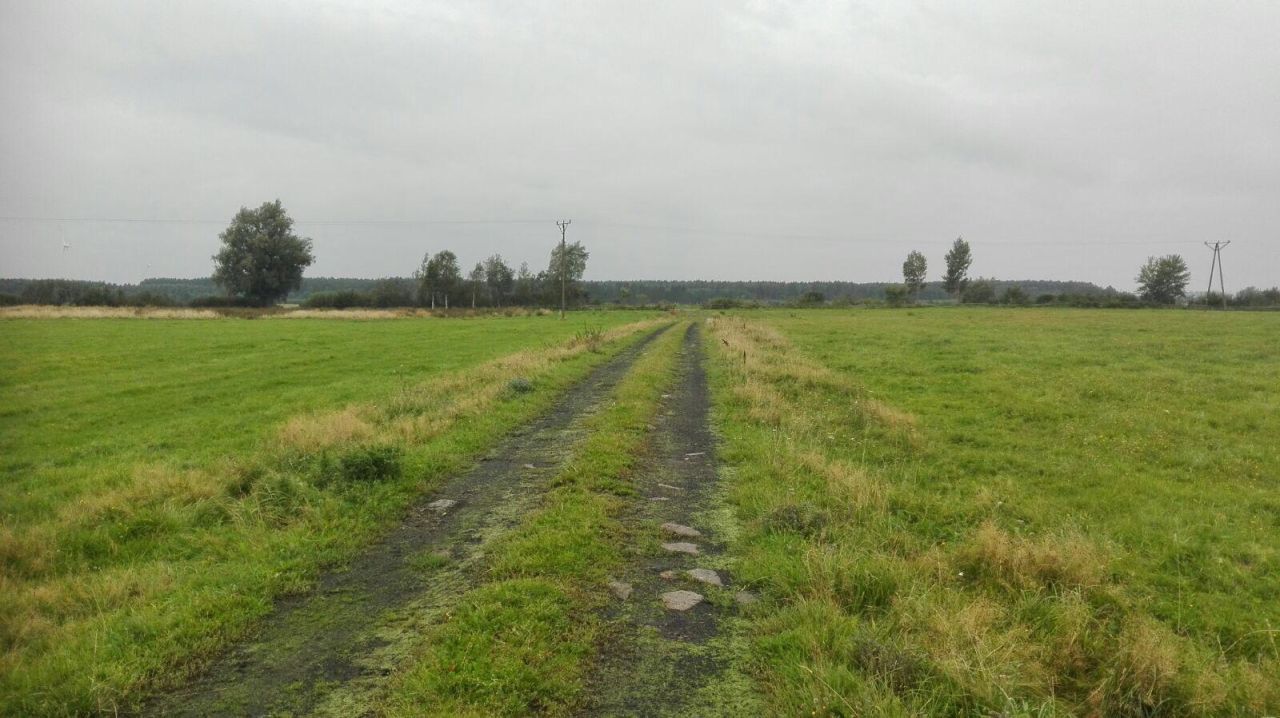 Działka rolna Krupy. Zdjęcie 1