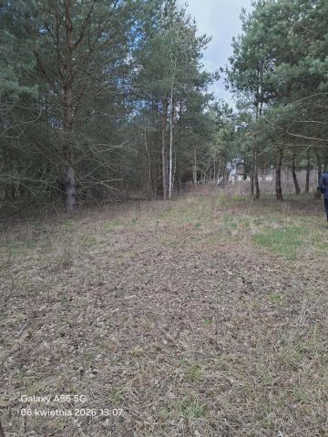 Działka budowlana Nieborów. Zdjęcie 1