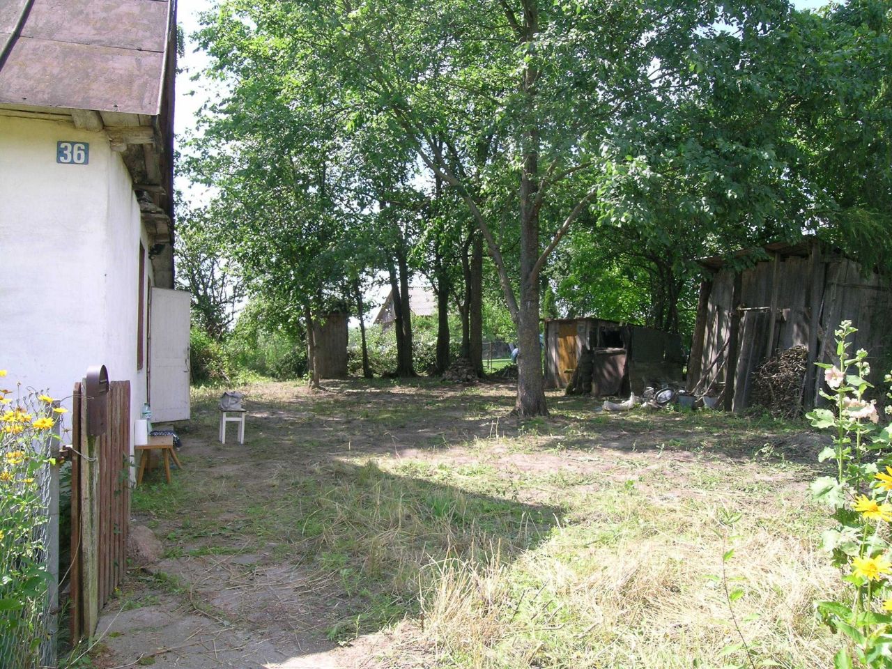 Działka siedliskowa Stare Buczyce. Zdjęcie 4