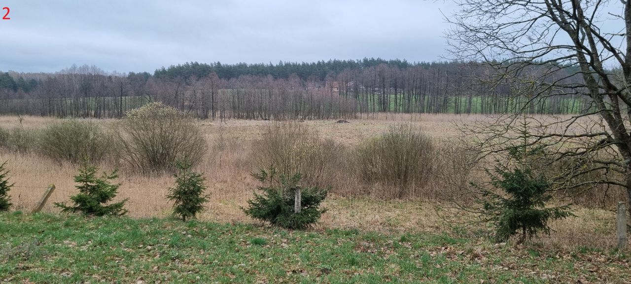 Działka rolna Piecki Piersławek. Zdjęcie 10