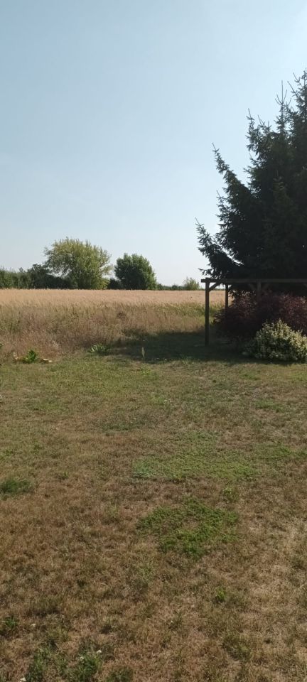 Działka rolno-budowlana Chynów, ul. Wspólna. Zdjęcie 6