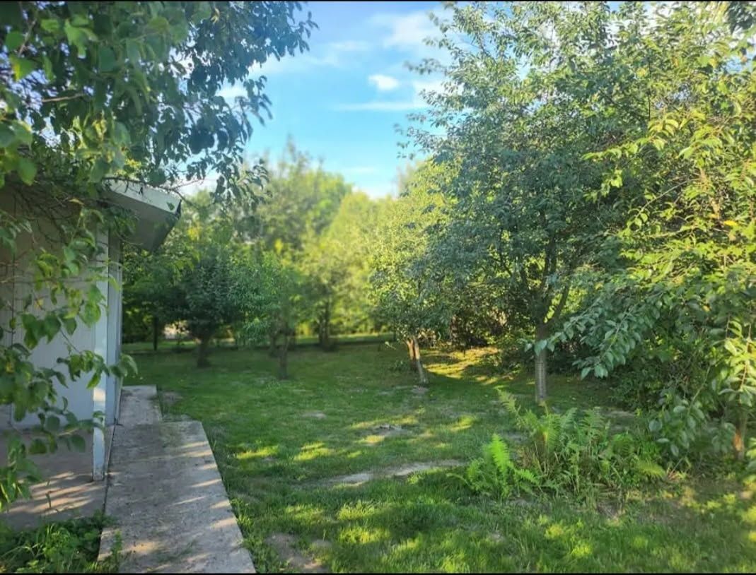 Działka rod Gliwice Sikornik, ul. Józefa Sowińskiego. Zdjęcie 2