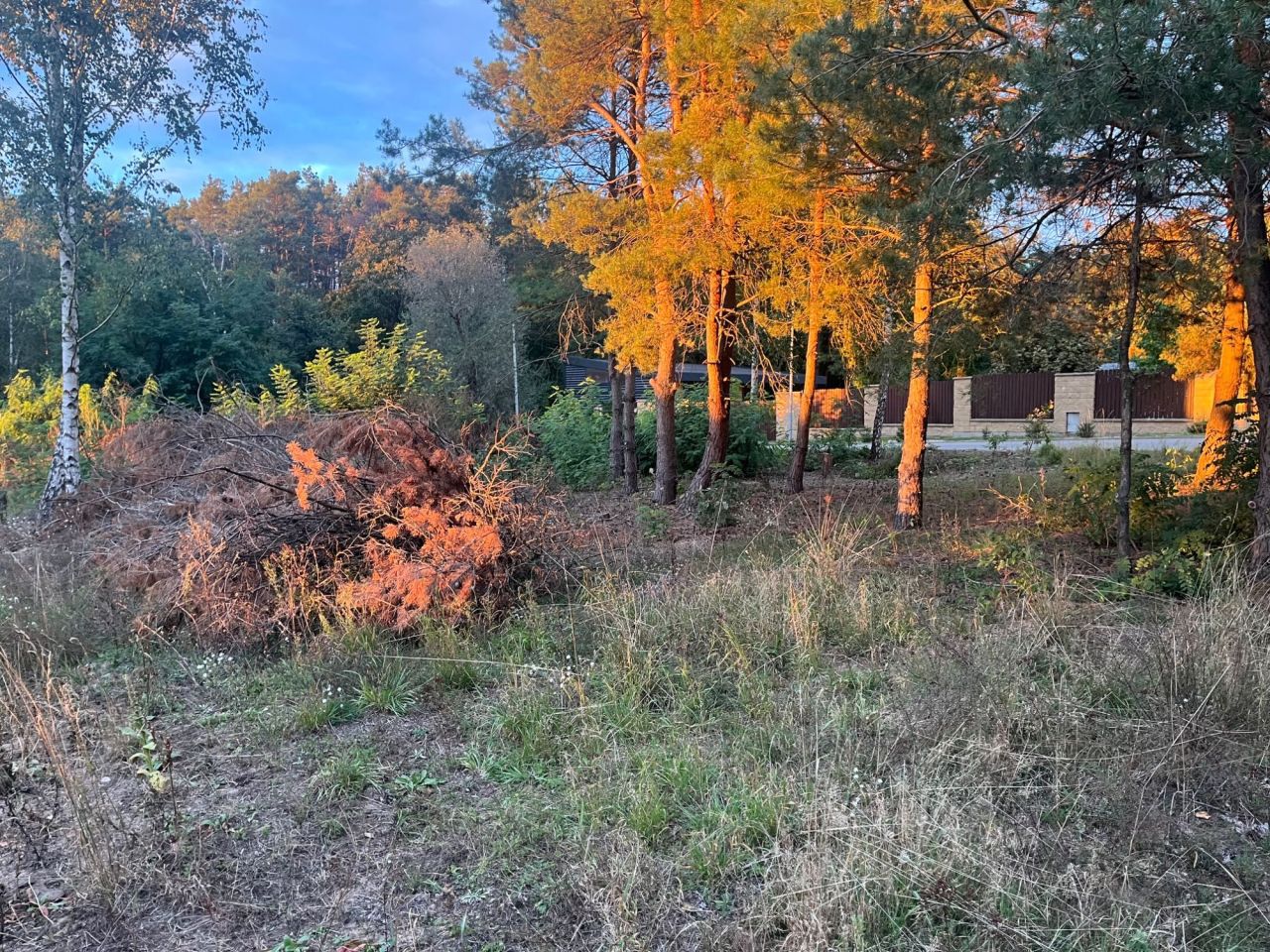 Działka budowlana Domaniewice, ul. Brzozowa. Zdjęcie 4