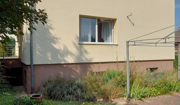 dom wolnostojący Olesno