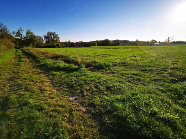 Działka budowlana Górka. Zdjęcie 1