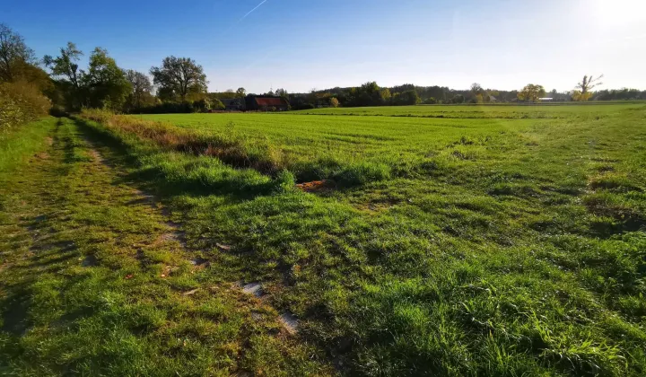 Działka budowlana Górka