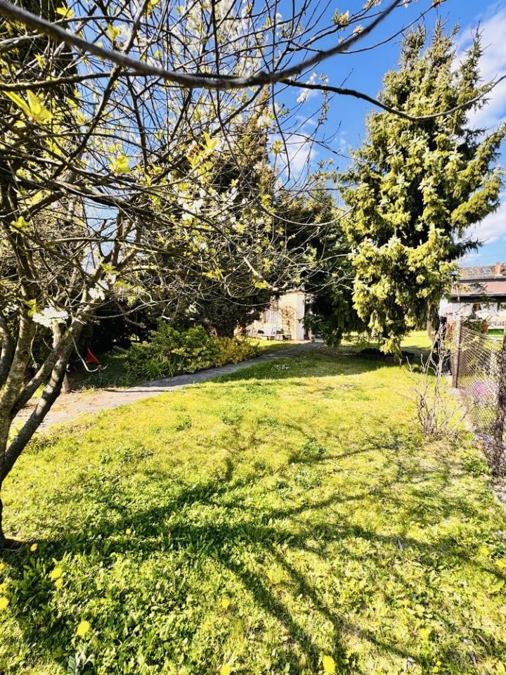 Działka rod Piekary Śląskie. Zdjęcie 7