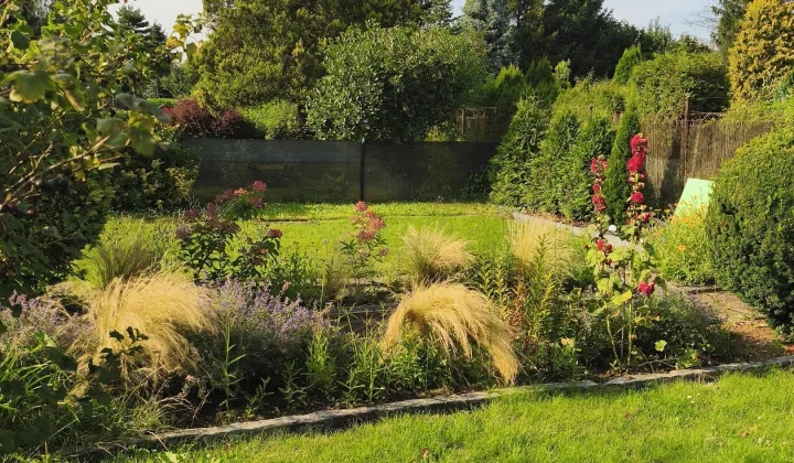 Działka rod Siemianowice Śląskie Centrum, ul. Pawła Śmiłowskiego