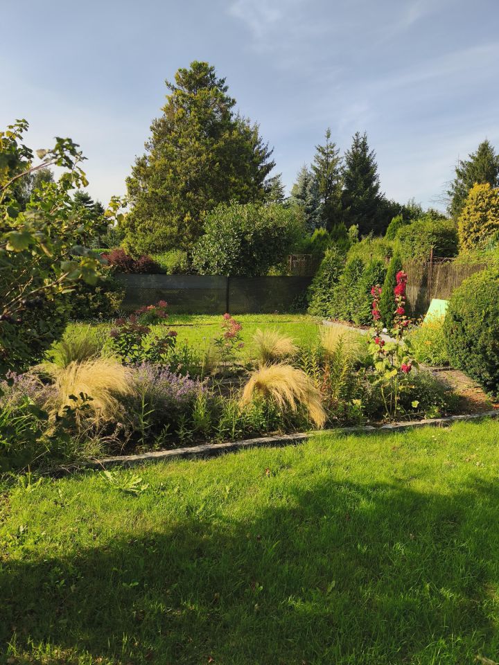 Działka rod Siemianowice Śląskie Centrum, ul. Pawła Śmiłowskiego. Zdjęcie 2