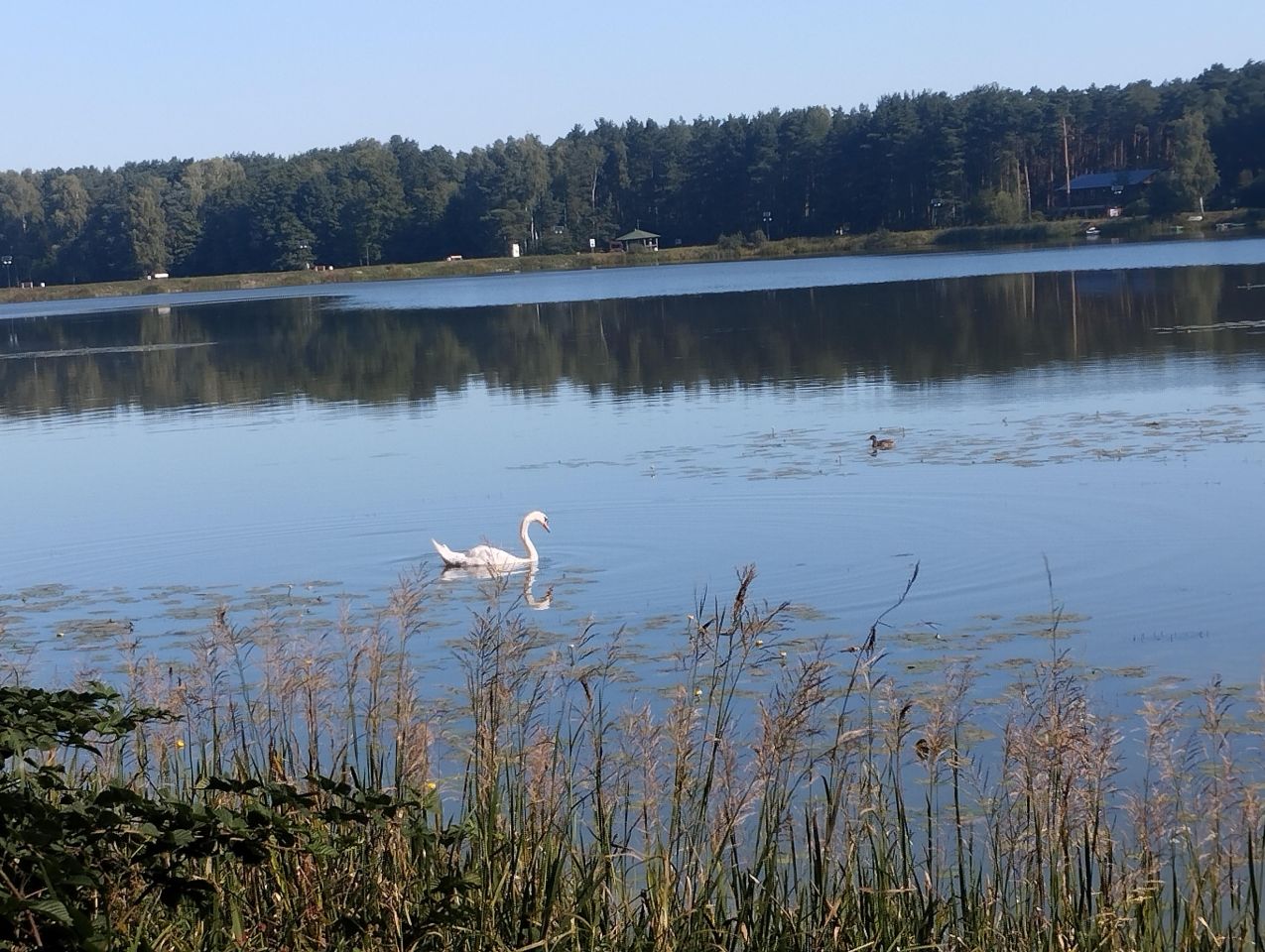 Nieruchomość komercyjna Kalety Zielona, ul. Owocowa. Zdjęcie 12