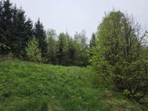 inny, 3 pokoje Krzewie Wielkie, Krzewie Wielkie. Zdjęcie 4