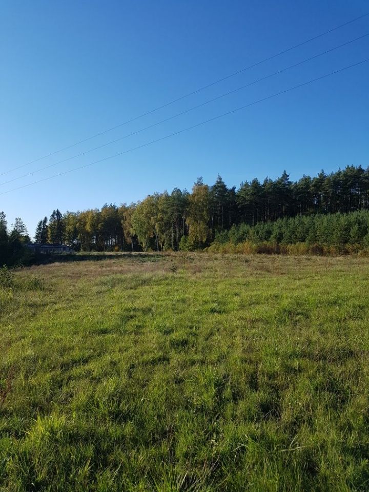 Działka budowlana Kłosy. Zdjęcie 5