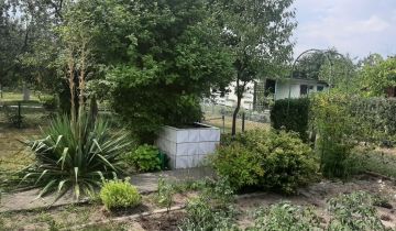 Działka rod Polkowice, ul. Ogrodowa