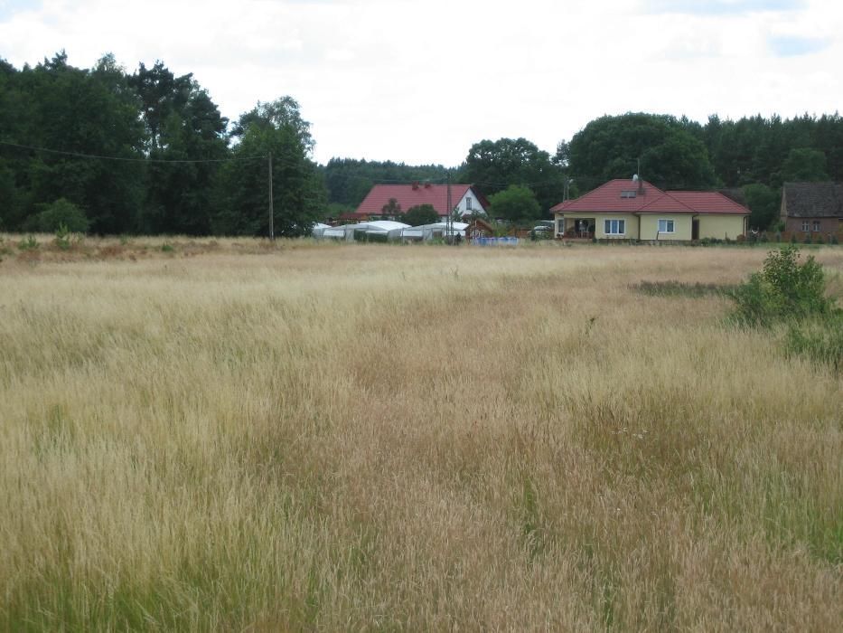 Działka budowlana Rogi. Zdjęcie 2