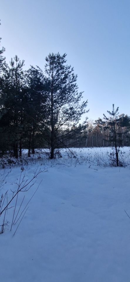 Działka rolna Ostrów Wiktorzec. Zdjęcie 4