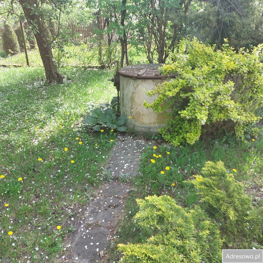 Działka rod Gliwice, ul. Akademicka. Zdjęcie 3