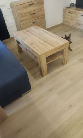 Mieszkanie 1-pokojowe Poznań Jeżyce, ul. Maksymiliana Jackowskiego. Zdjęcie 13