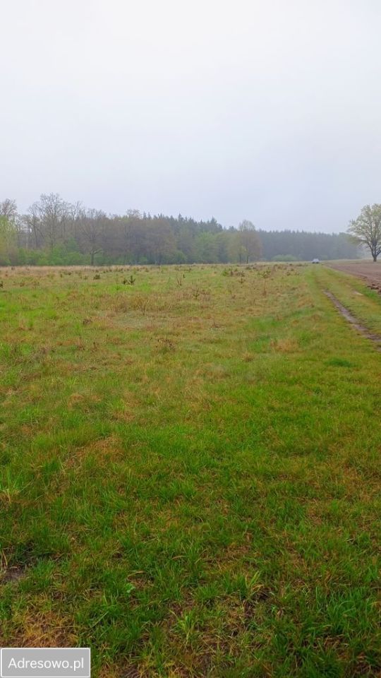 Działka rolna Pracze. Zdjęcie 6
