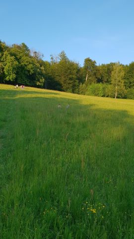 Działka rolno-budowlana Konradów. Zdjęcie 2