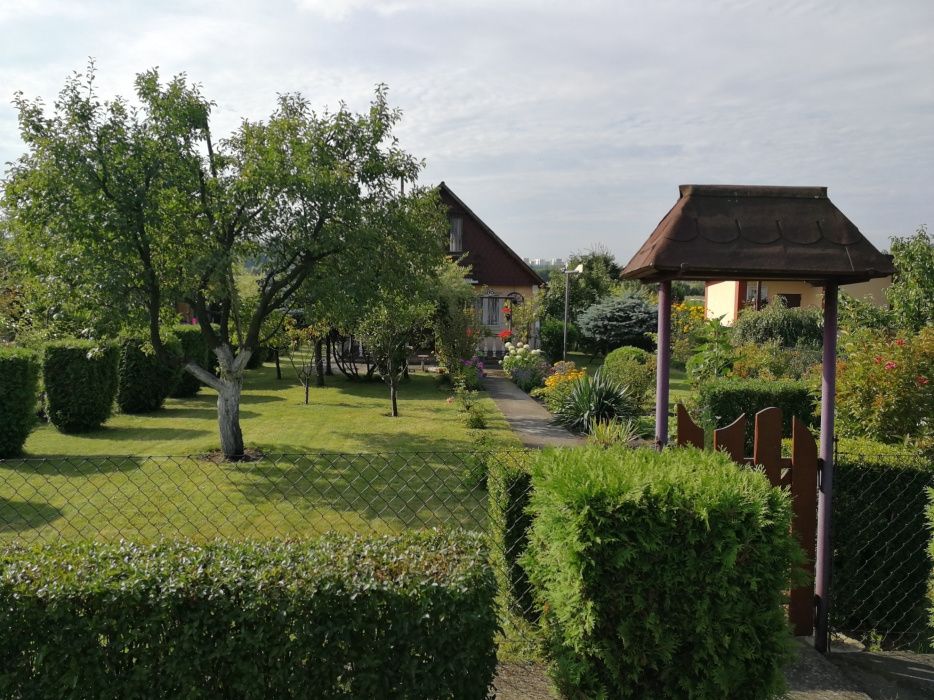 Działka rekreacyjna Łódź Brus, ul. Krańcowa