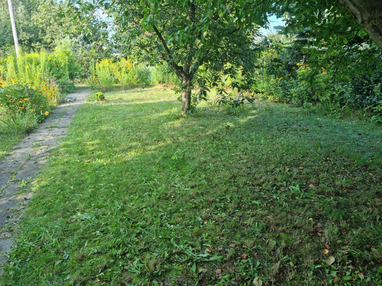 Działka rod Ciechocinek, ul. Cypriana Kamila Norwida. Zdjęcie 10