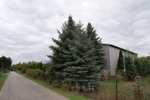 dom wolnostojący, 3 pokoje Podole. Zdjęcie 3