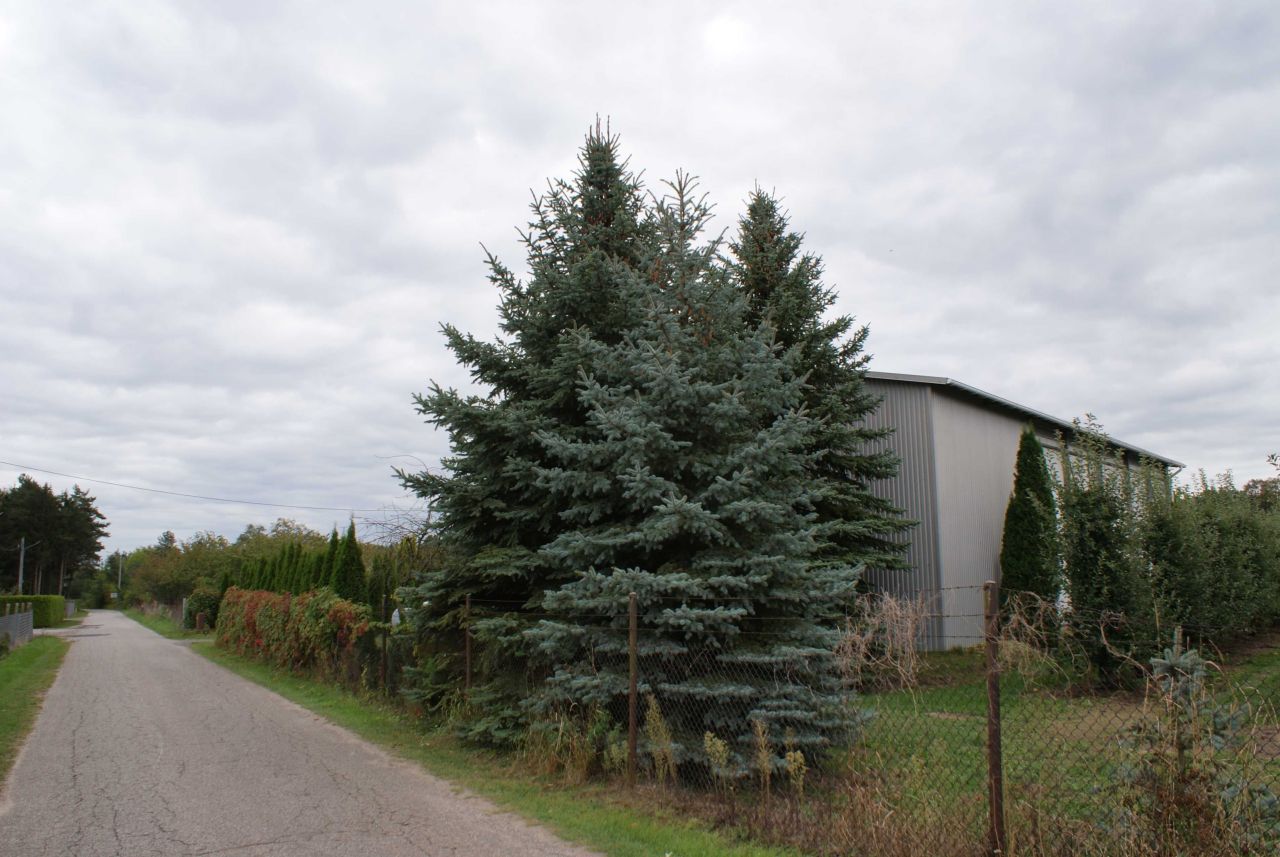 dom wolnostojący, 3 pokoje Podole. Zdjęcie 3