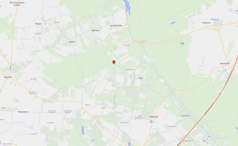 Działka rolna Brudzice. Zdjęcie 3