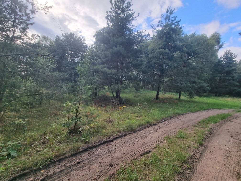 Działka rolna Ciepielów. Zdjęcie 4