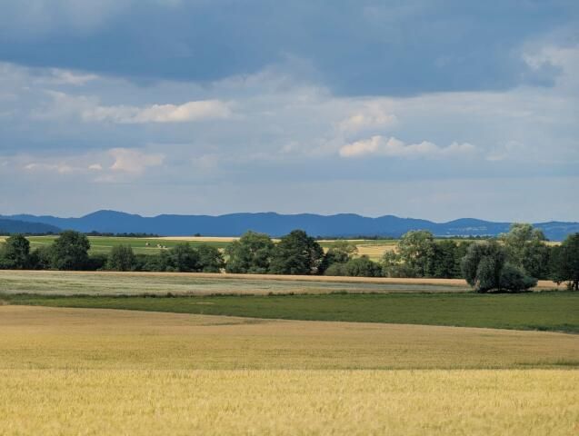 Działka budowlana Gorzanów Muszyn. Zdjęcie 4