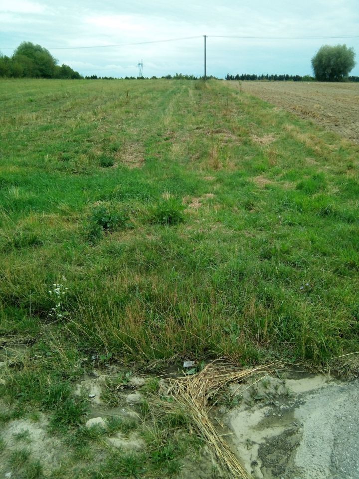 Działka siedliskowa Janów. Zdjęcie 6