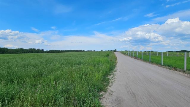 Działka rekreacyjna Zdory. Zdjęcie 8