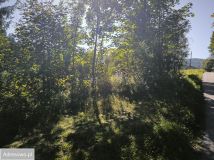 Działka budowlana Zasadne. Zdjęcie 4