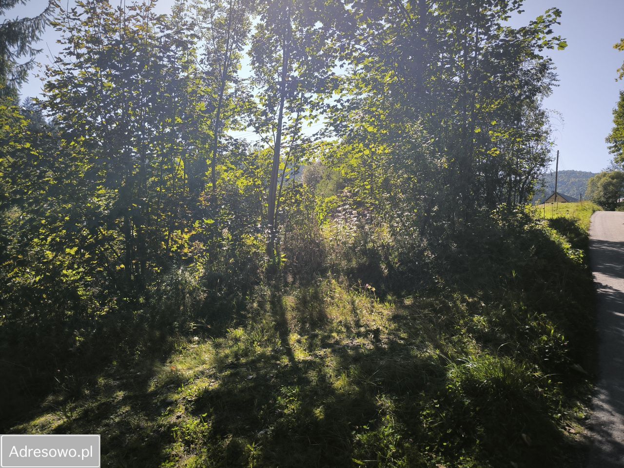 Działka budowlana Zasadne. Zdjęcie 5