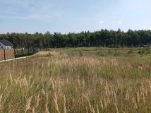 Działka budowlana Wymysłowo. Zdjęcie 1