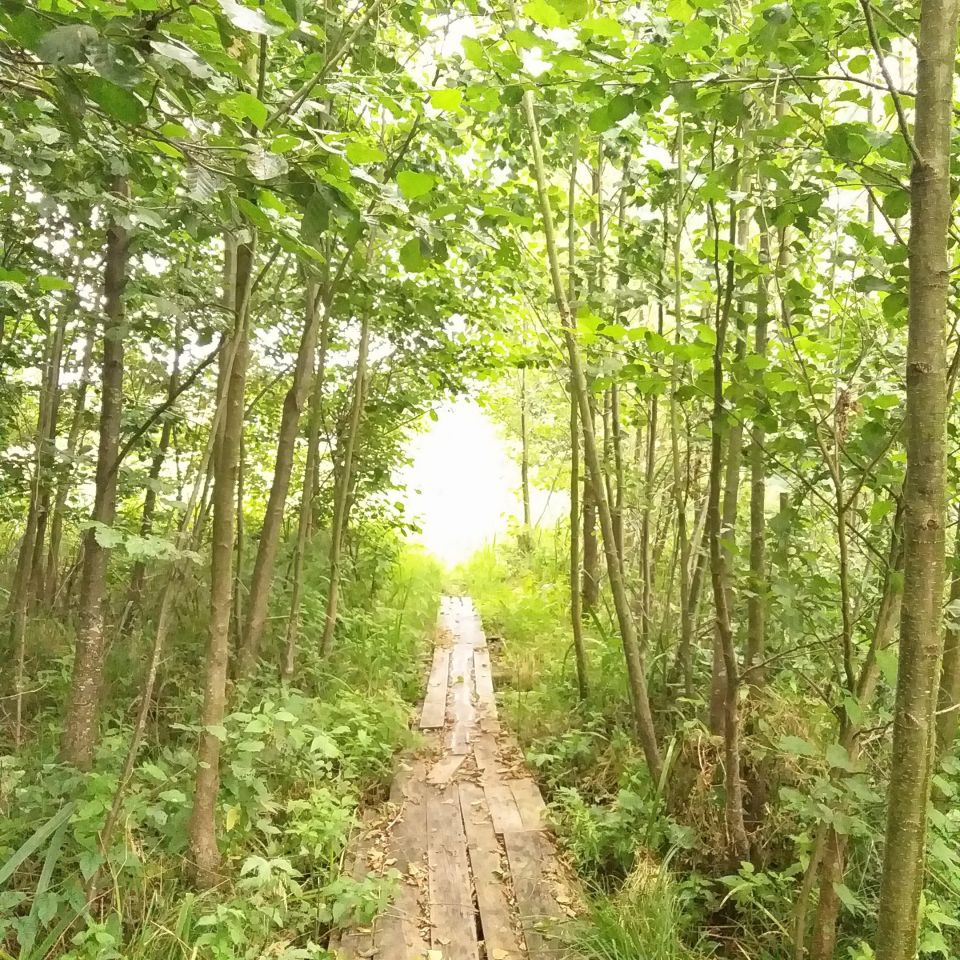 Działka budowlana Sypitki. Zdjęcie 2