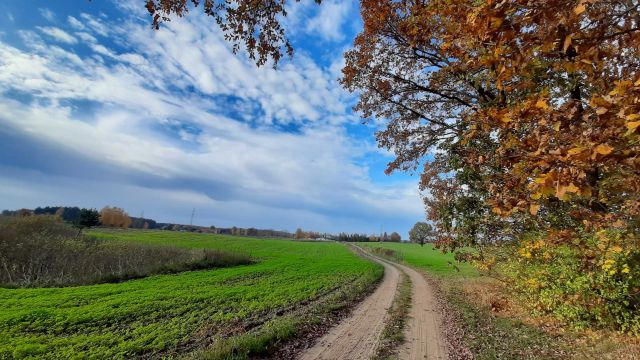 Działka budowlana Szeplerzyzna. Zdjęcie 1