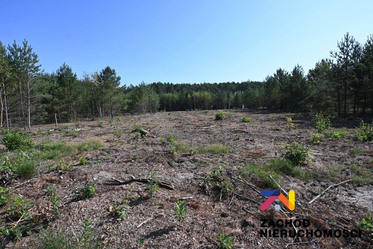 Działka budowlana Kaczenice. Zdjęcie 2