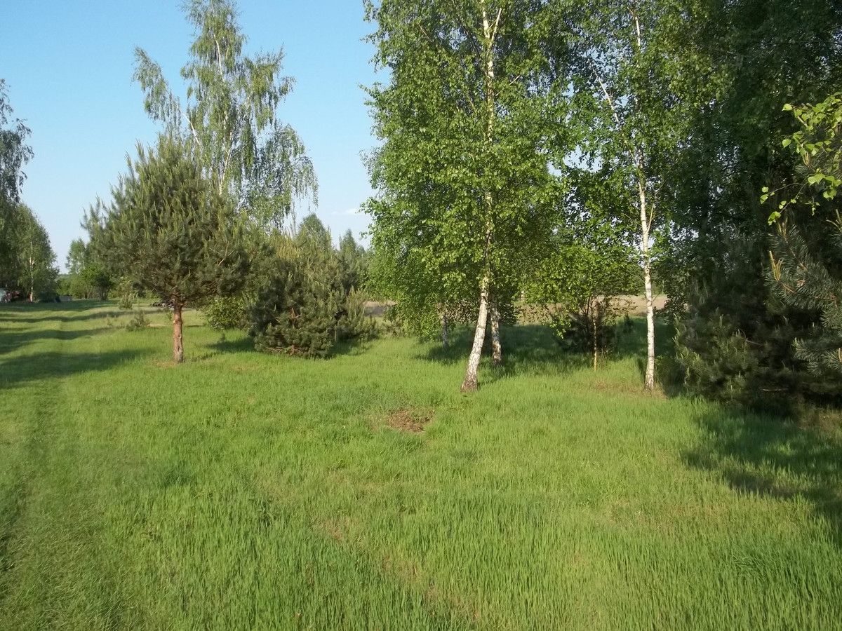 Działka rekreacyjna Budy Grabskie. Zdjęcie 7