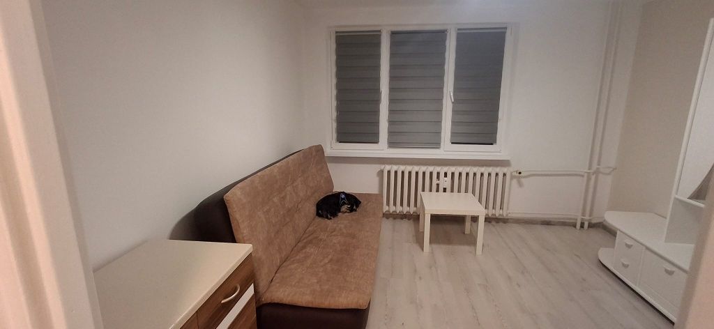 Mieszkanie 1-pokojowe Koszalin, ul. Orla