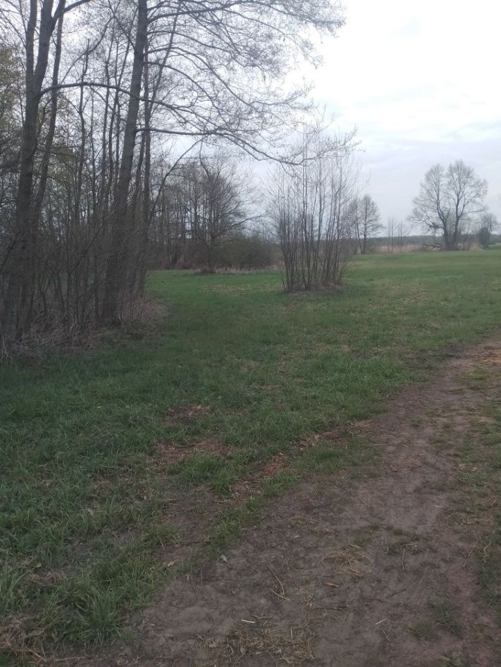 Działka rekreacyjna Zagórów. Zdjęcie 3