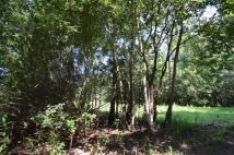 Działka rekreacyjna Kuligów, ul. Leśna. Zdjęcie 3