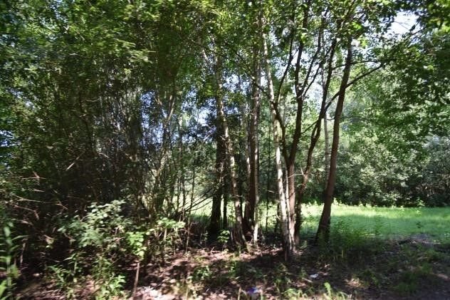 Działka rekreacyjna Kuligów, ul. Leśna. Zdjęcie 4