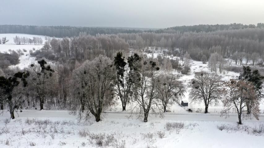 Działka budowlana Harsz. Zdjęcie 10