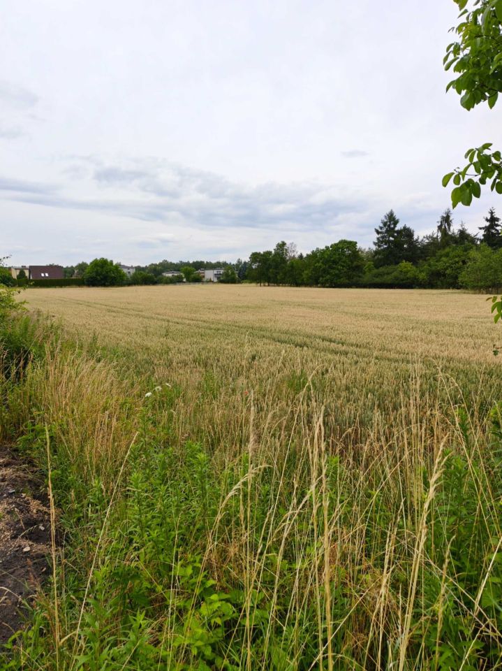 Działka inwestycyjna Mysłowice Brzezinka, ul. Piaskowa. Zdjęcie 4
