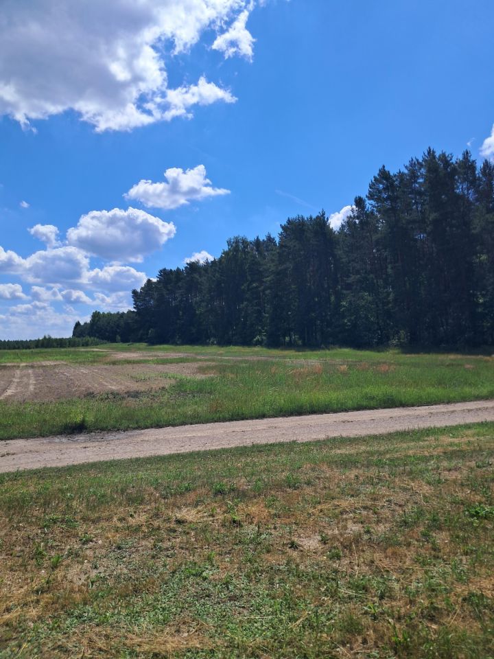 Działka budowlana Kurzelów Laski, ul. Laski. Zdjęcie 5