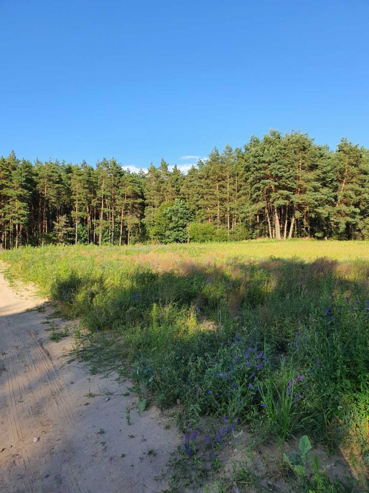 Działka budowlana Gorczeniczka. Zdjęcie 11