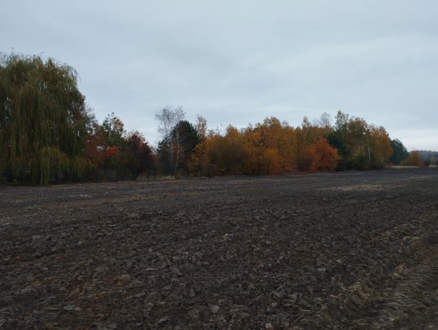 Działka budowlana Żelechów. Zdjęcie 3