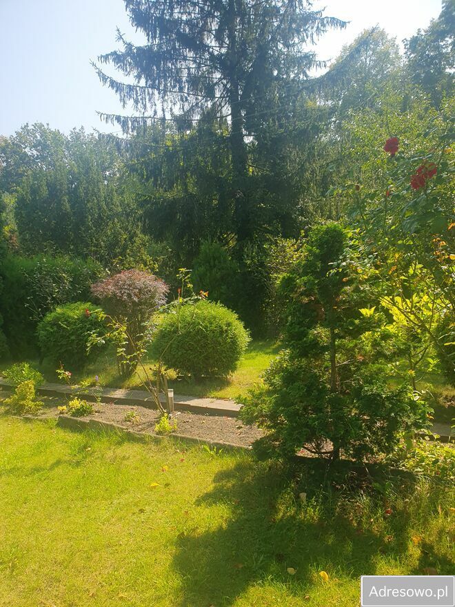 Działka rod Poznań, ul. Pusta. Zdjęcie 2