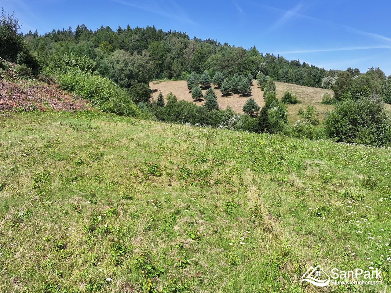 Działka inwestycyjna Solina. Zdjęcie 6